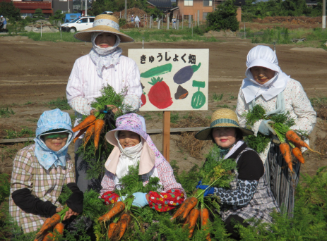 学校給食畑でのにんじん収穫の様子（北条女性会）