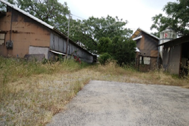 田井の空き地で畜産施設の写真です。