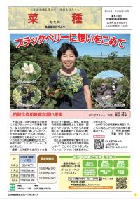56号
