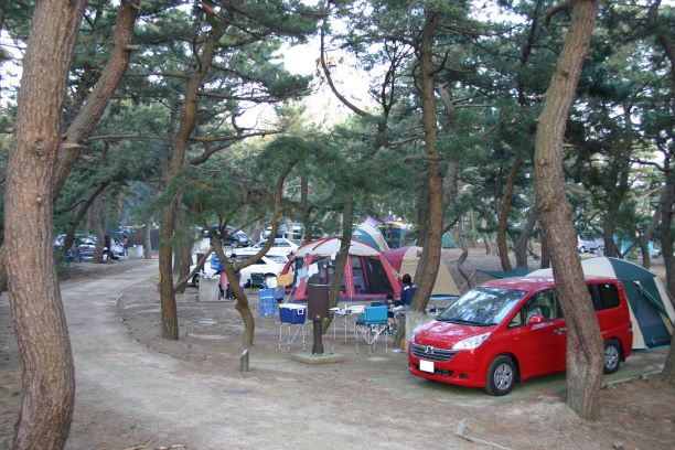 キャンプ場