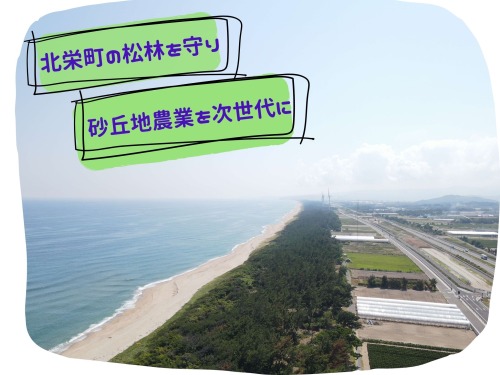 松林