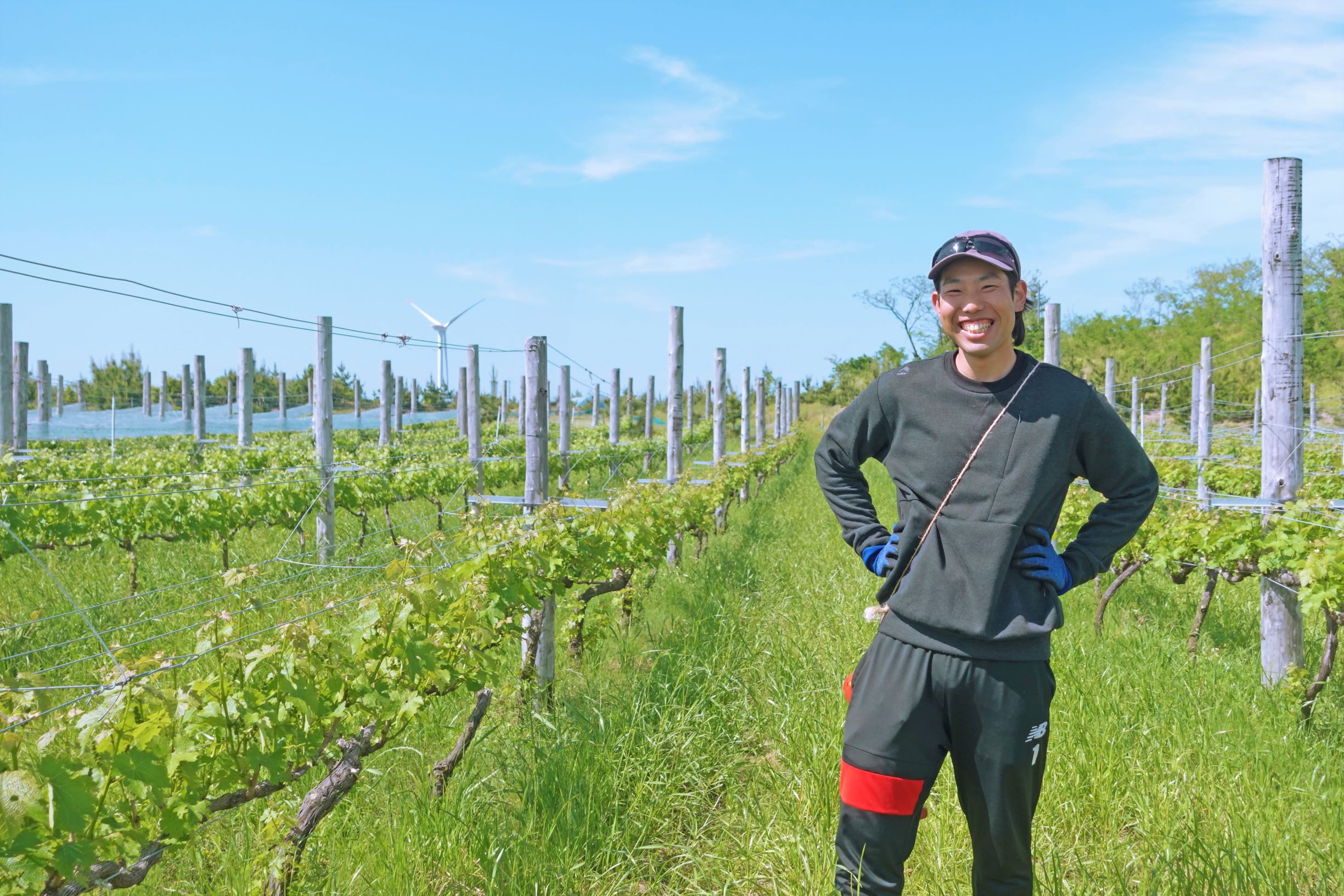 ブドウ産地活性化地域おこし協力隊