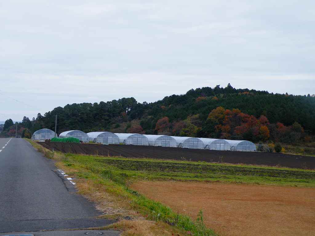 由良城跡（スクモ塚）の画像