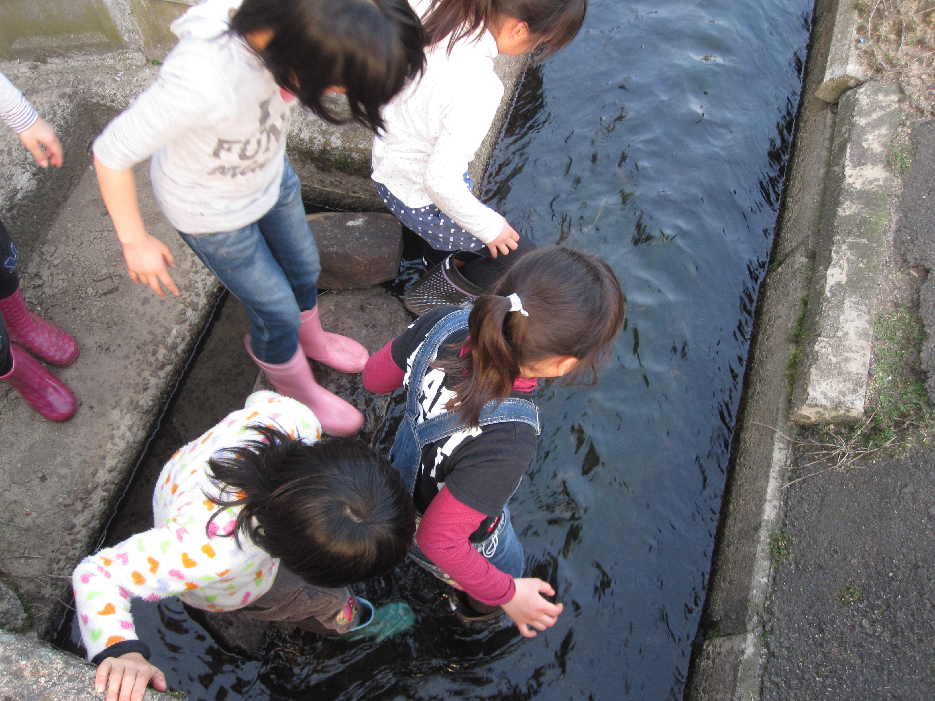 北栄町グリーンツーリズム研究会についての画像その4