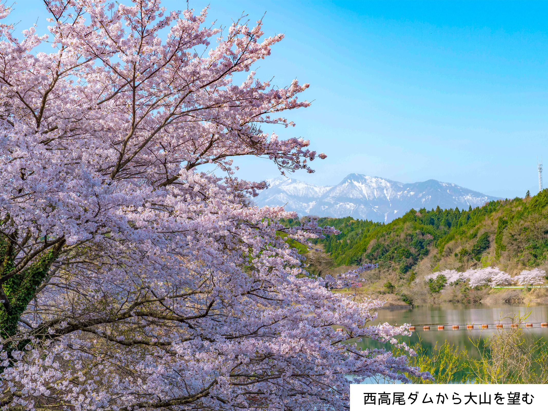 トップページ_トップバナー_景観画像1