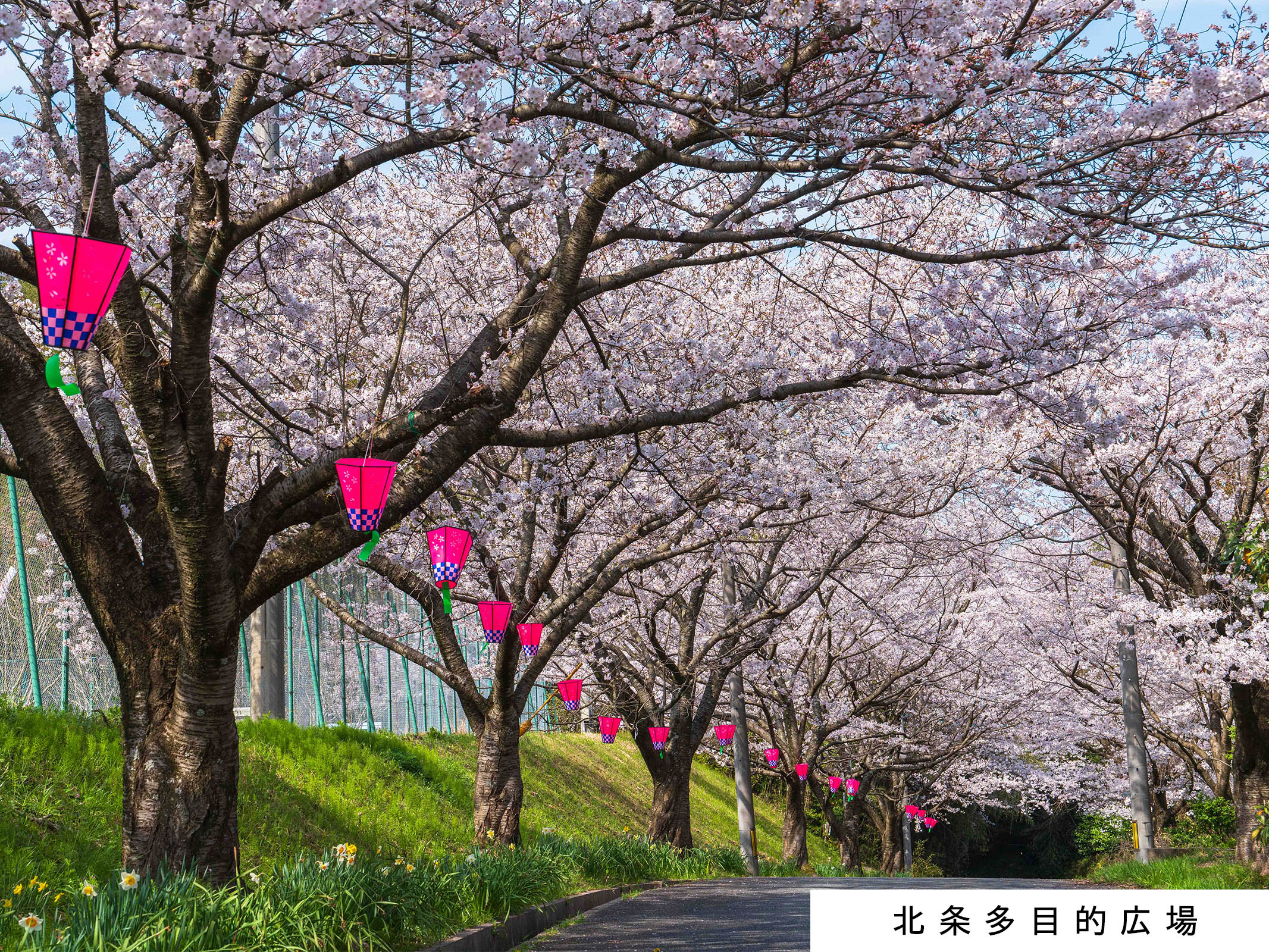 トップページ_トップバナー_景観画像2