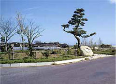 天神桜づつみの画像その2