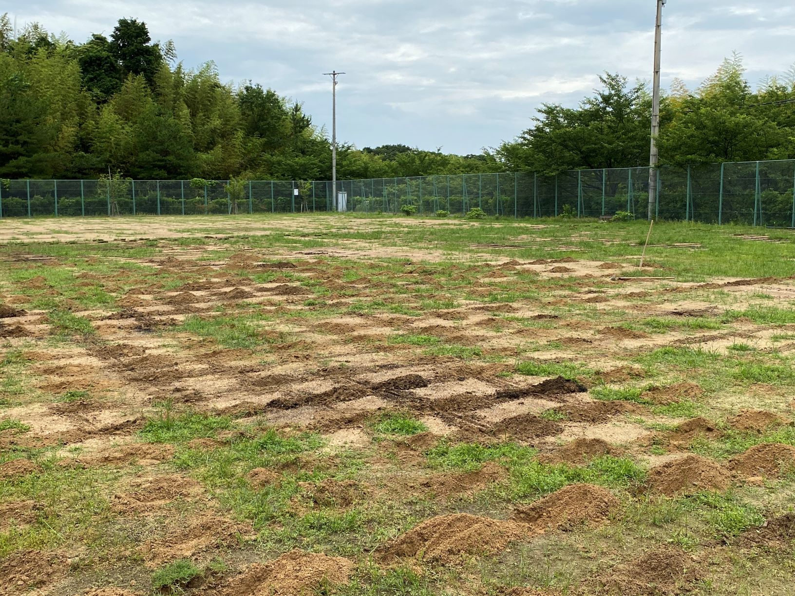 北条多目的広場の画像1