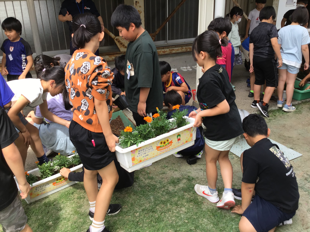 小学校苗植え1