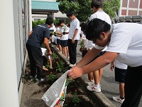 中学校花壇2