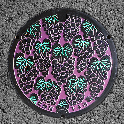 砂丘ぶどう（天神処理区）の画像