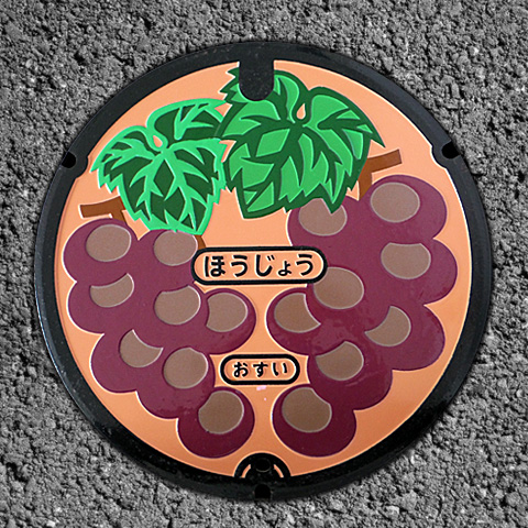 砂丘ぶどう（北条処理区）の画像