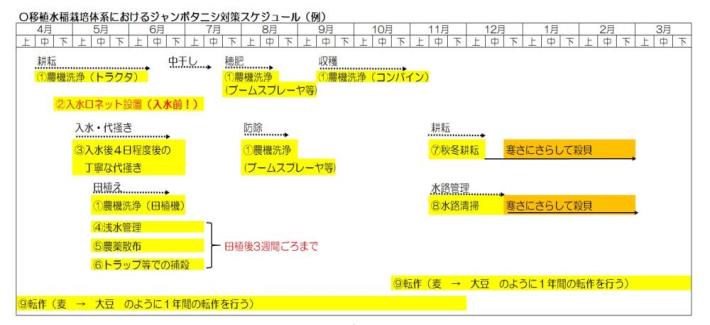 対策スケジュール