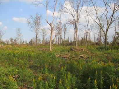 活用事業の画像1