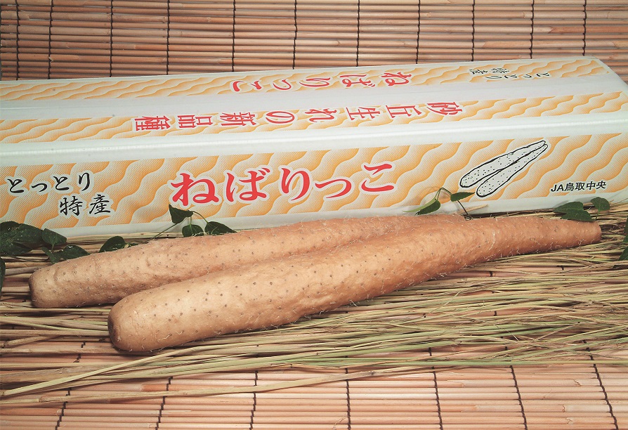 ねばりっこの画像