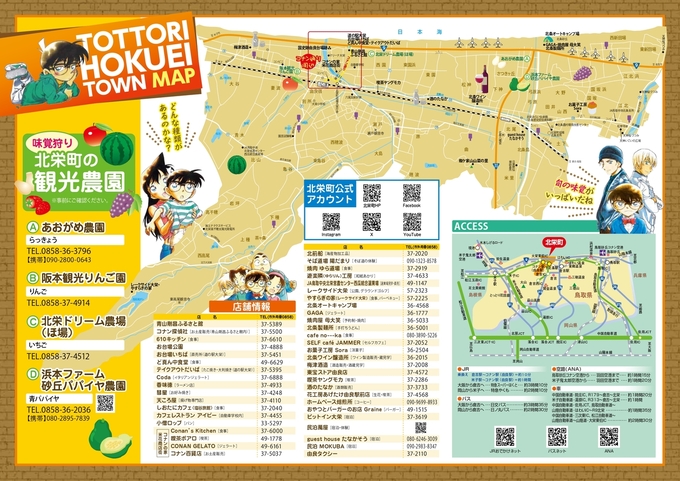 観光マップ（裏面）