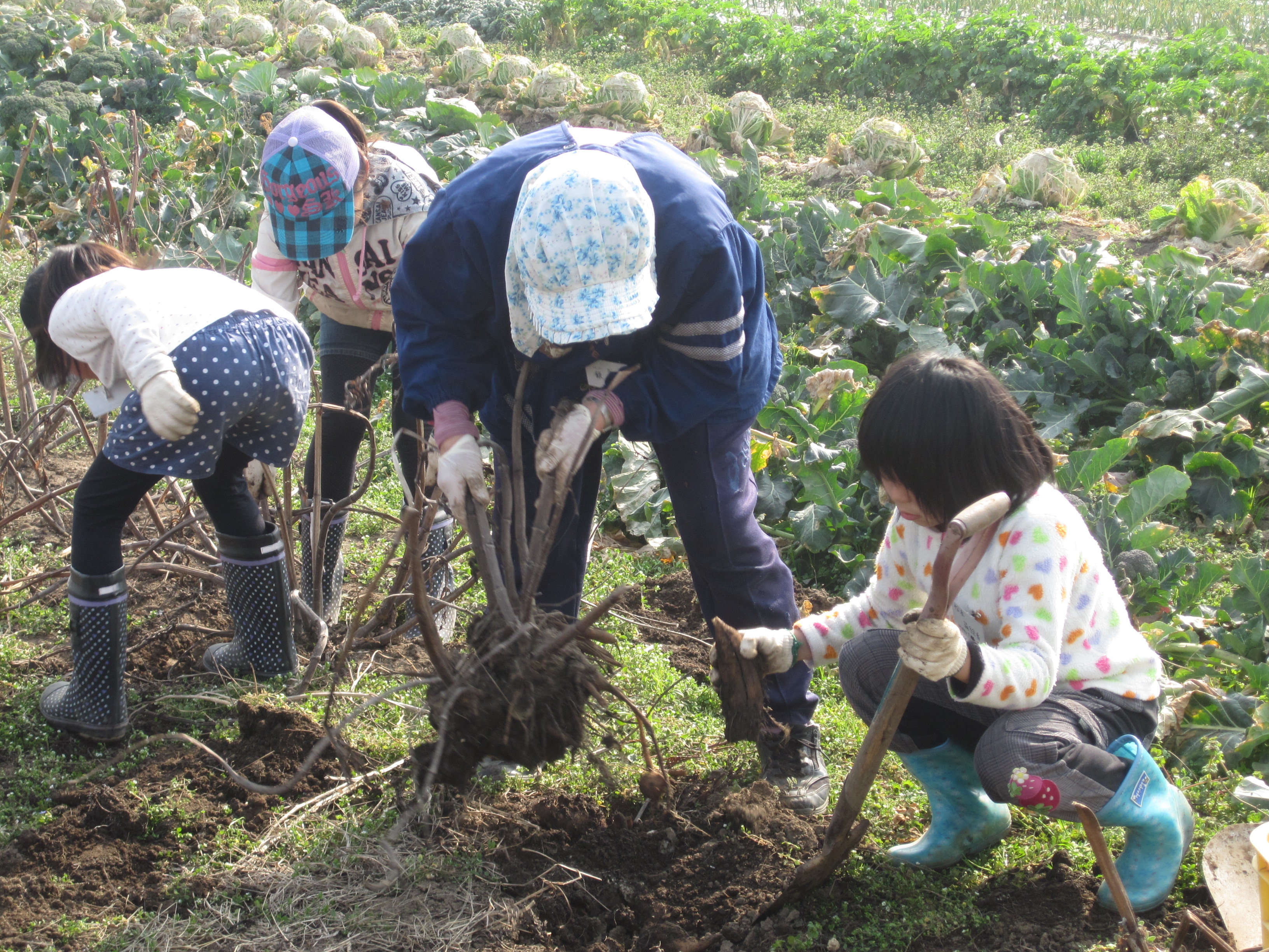 北栄町グリーンツーリズム研究会についての画像その3
