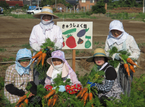 学校給食畑でのにんじん収穫の様子（北条女性会）の画像