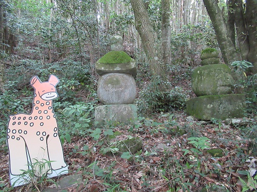 鹿子の宝箱「上種五輪塔」（令和5年6月号）の画像2