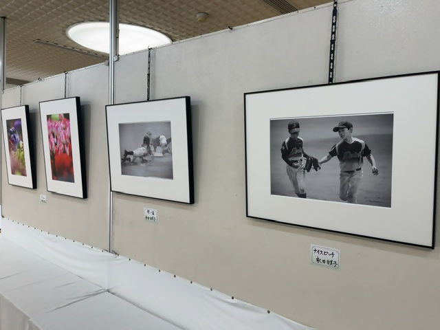 「北栄町写真愛好会」作品展の画像2