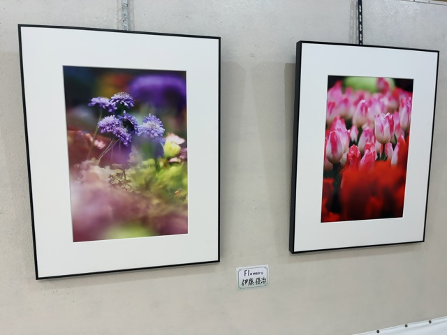 「北栄町写真愛好会」作品展の画像4