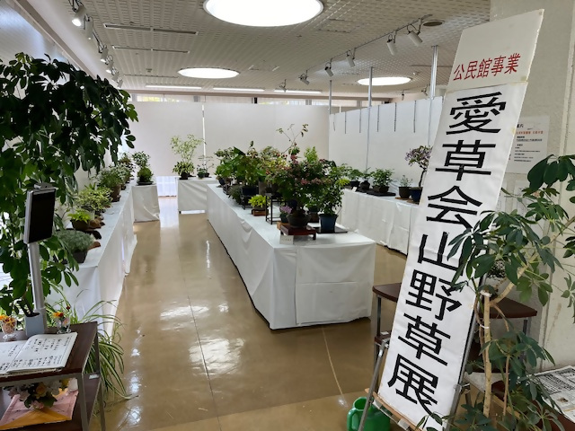 「愛草会」山野草展の画像1