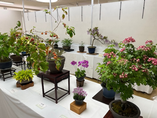 「愛草会」山野草展の画像4