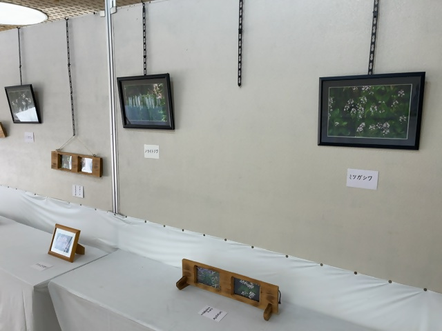 「愛草会」山野草展の画像5