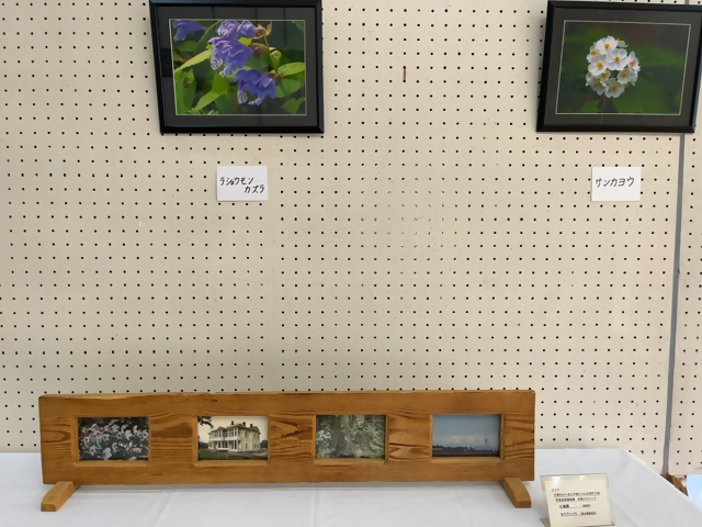 「愛草会」山野草展の画像7