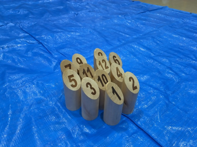 ニュースポーツ交流会の画像4