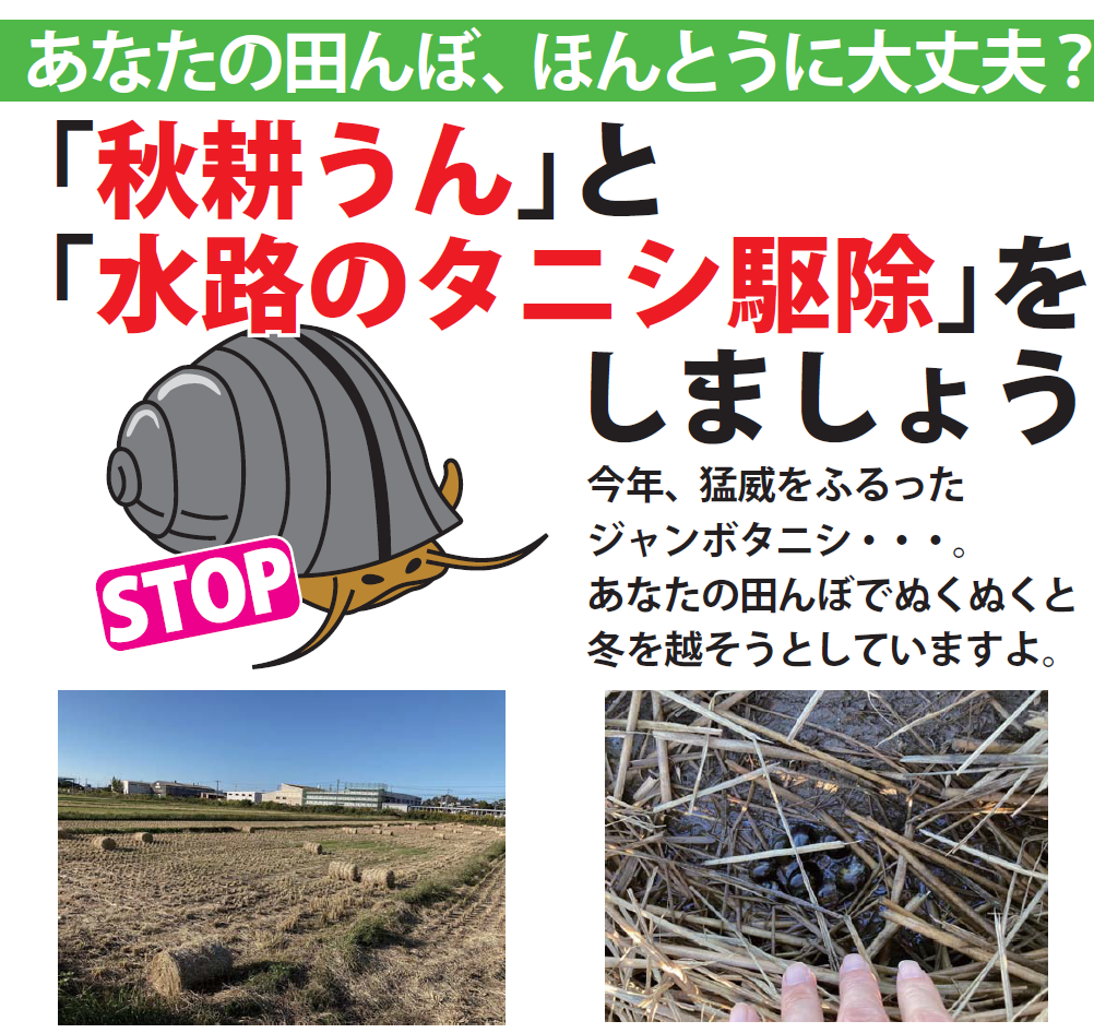 「秋耕うん」と 「水路のタニシ駆除」をしましょうの画像1