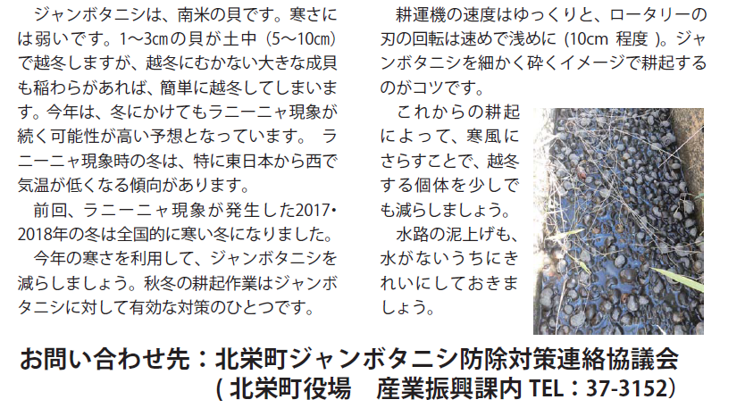 「秋耕うん」と 「水路のタニシ駆除」をしましょうの画像2