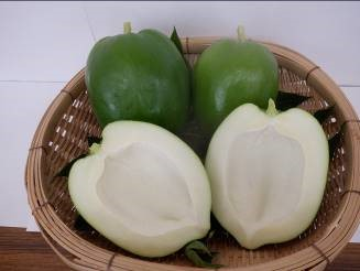 砂丘パパイヤふれあい農園（青パパイヤ）の画像2