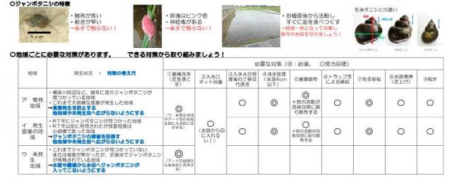 ジャンボタニシの特徴と地域別対策一覧