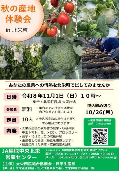 チラシ1